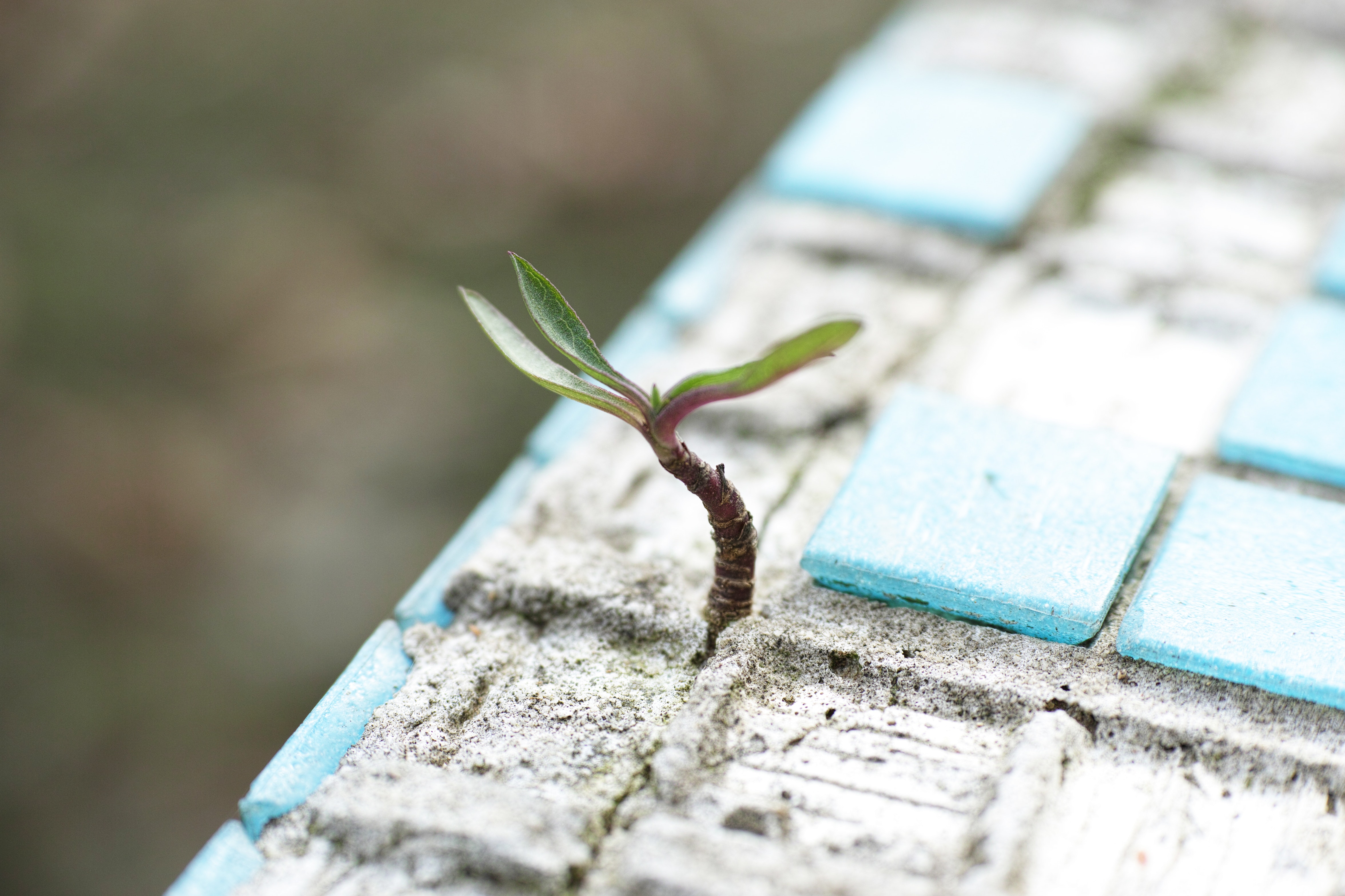 Starting Small: A Guide To Digital Transformation For SMEs